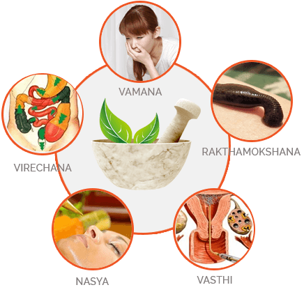 Understanding Basti (Ayurvedic Enema Therapy): A Comprehensive Guide
